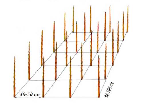 Как правильно посадить деревья на участке схема плодовые и кустарники. Схема сада плодовых деревьев