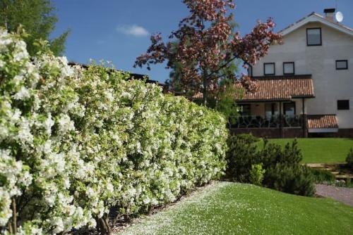 Планировка сада и огорода на участка.  Грамотная планировка на участке в 6 соток 20 Планировка сада и огорода на участка.  Грамотная планировка на участке в 6 соток 20