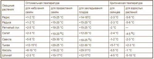 Как создать оптимальные условия для роста растений в саду.  Как создать растениям оптимальные температурные условия