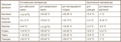 Как создать оптимальные условия для роста растений в саду.  Как создать растениям оптимальные температурные условия