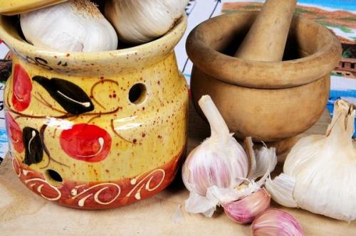 Какие факторы влияют на рост озимого чеснока