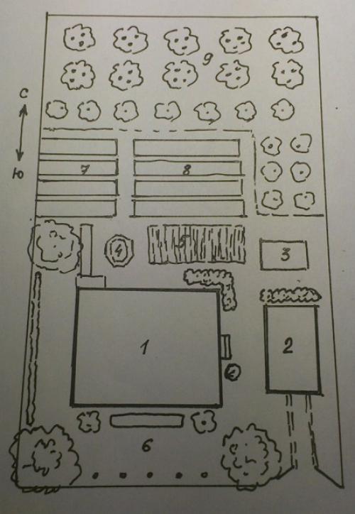 Как правильно разбить сад на участке схема. Составление плана