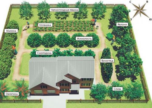 Как правильно разбить сад на участке схема. Составление плана