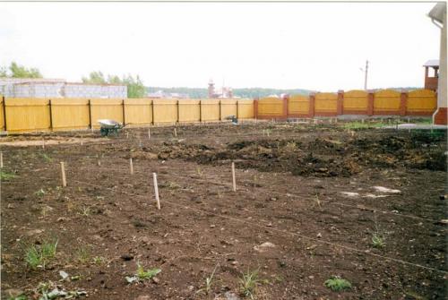 Планировка сада и огорода 6 соток. Этапы планировки