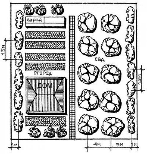 Как правильно разбить сад на участке. Что нужно знать, перед тем как приступать к планировке? 01