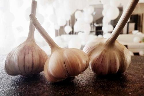 Самый дорогой чеснок. 29 сортов озимого чеснока