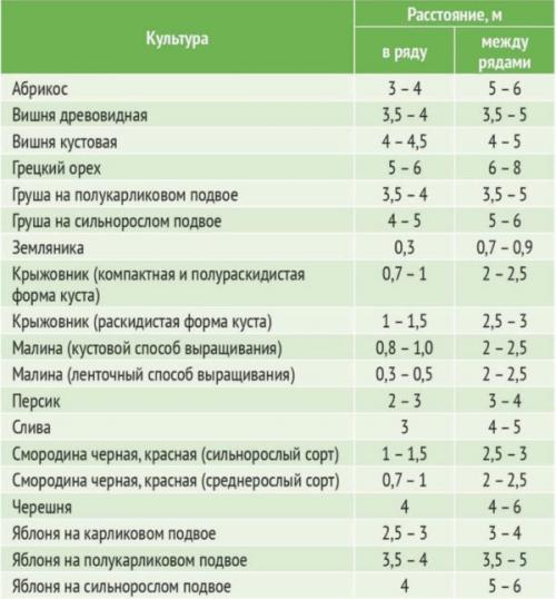 Как разбить сад на участке схема фруктовый. Схема сада плодовых деревьев