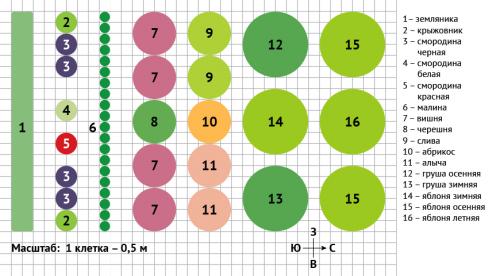 Разбивка сада на участке схема. Разбивка территории на зоны 09