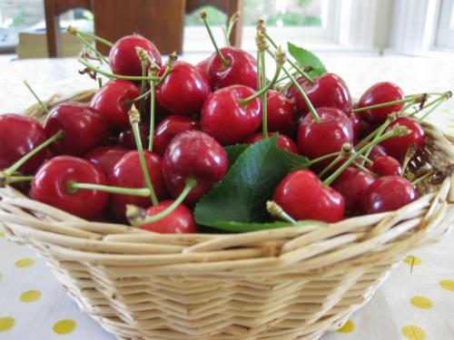 На каком расстоянии сажать черешню от яблони. Где нельзя сажать черешню и почему?