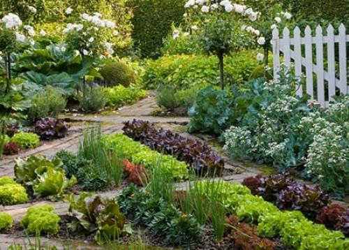 Как совместить сад и огород на маленьком участке. Секреты размещения огорода на небольшом участке