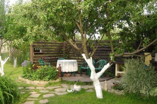 Планировка плодового сада на участке. Разбиваем плодовый сад 11