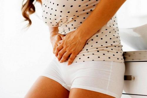 Какой Можжевельник самый полезный. Ботаническое описание растения, фото 06