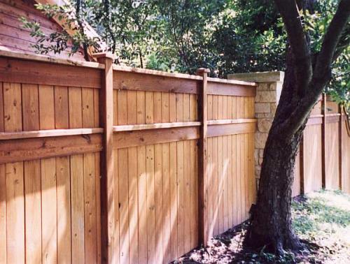 Правила и нормы посадки деревьев и кустарников. Нормативная база для высадки саженцев вблизи домов