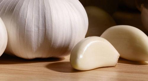 Сортовой чеснок. Сорта чеснока — 45 сортов 2022 года