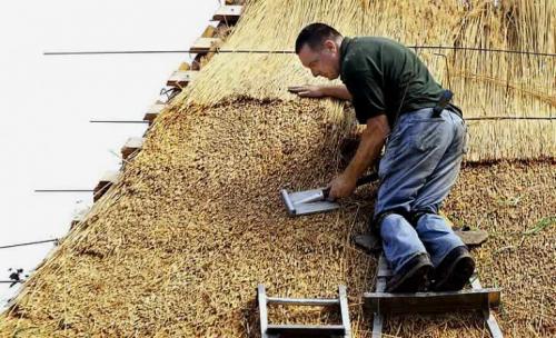 Как создать укрытие из рогоза, которое будет устойчиво к ветру. Свойства покрытия из камыша