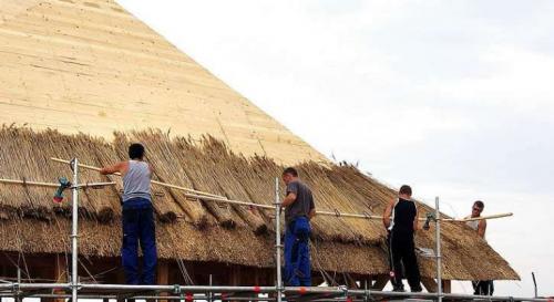 Как создать укрытие из рогоза, которое будет устойчиво к ветру. Свойства покрытия из камыша