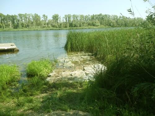 Укрытие из рогоза. Создание песчаного пляжа на берегу