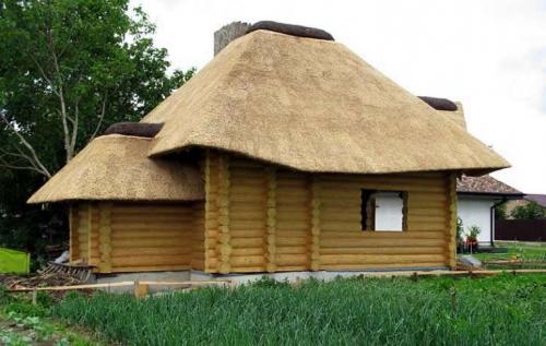 Как создать укрытие из рогоза, которое будет устойчиво к ветру. Свойства покрытия из камыша