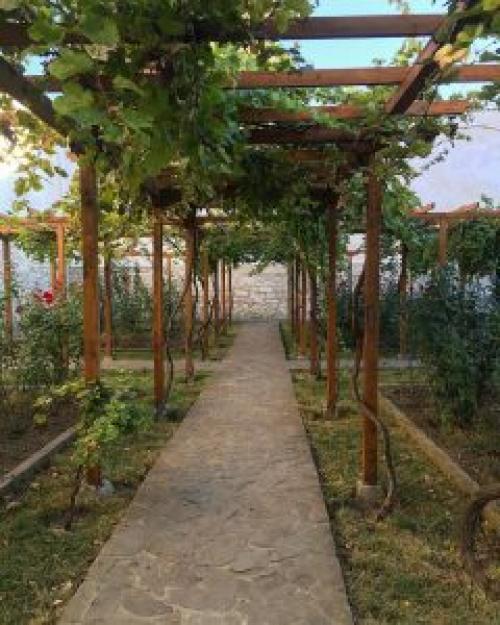 Виноград в ландшафтном дизайне. Какие сорта винограда подойдут для украшения участка