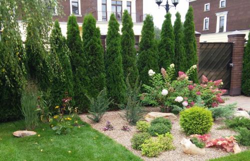 Когда лучше сажать туи и можжевельники. Поселите хвойники в саду – посадка туи, сосны, пихты, можжевельника осенью