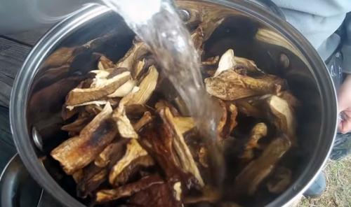 Что такое икра грибная из сушеных и соленых грибов. Пошаговые рецепты грибной икры из соленых и сухих грибов