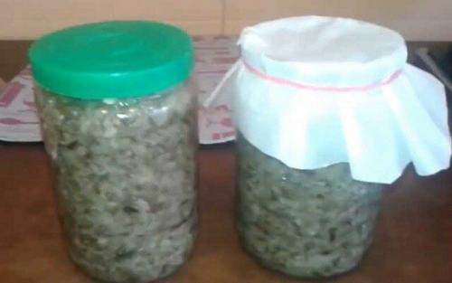 Грибная икра из опят на зиму с луком: рецепт и советы 25