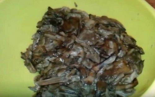 Грибная икра из опят на зиму с луком: рецепт и советы 26