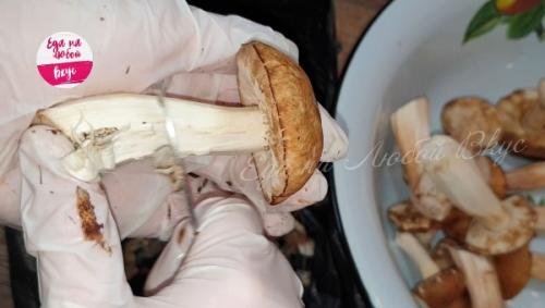 Маринованная грибная икра на зиму. Вкусная икра из грибов на зиму и не только