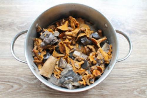 Как правильно готовить грибную икру на зиму. Грибная икра через мясорубку на зиму