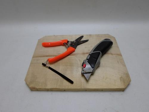 Как быстро растет туя из черенка. Как долго растет туя из черенка