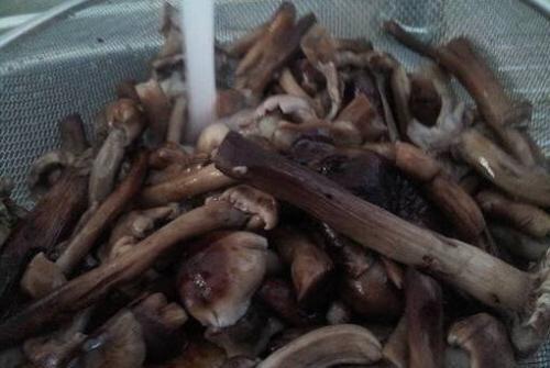 Как приготовить из маринованных опят икру. Грибная икра из опят через мясорубку на зиму