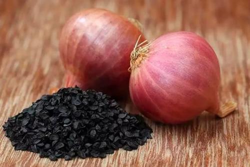 Когда сажать лук черныш. Лук чернушка, выращивание из семян, когда сажать