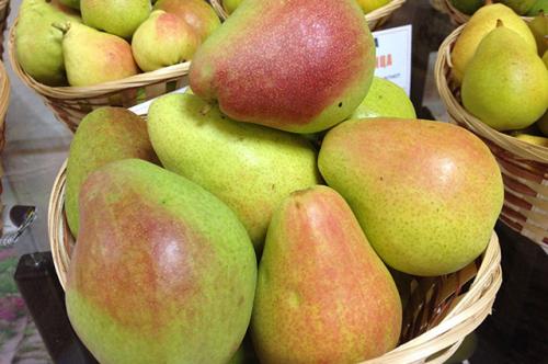 Как выбрать свежий осенний сорт груши. Какая груша слаще? Выбираем лучшие осенние сорта