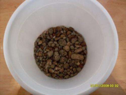 Нужен ли дренаж для спатифиллума. Как правильно пересаживать спатифиллум 04