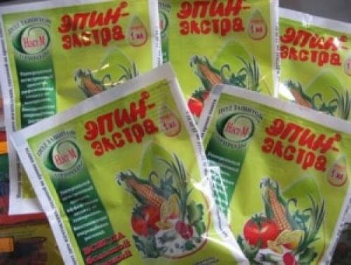 Нужен ли дренаж для спатифиллума. Как правильно пересаживать спатифиллум 09