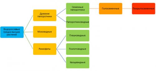 Эволюция растений таблица. .  Происхождение растений. Основные этапы развития растительного мира — Пасечник. 5 класс. Рабочая тетрадь