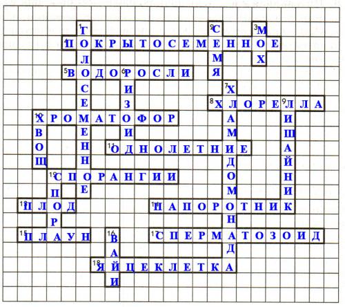 Эволюция растений таблица. .  Происхождение растений. Основные этапы развития растительного мира — Пасечник. 5 класс. Рабочая тетрадь