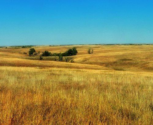 Последовательность этапов эволюции растений. Кайнозойская эра 01