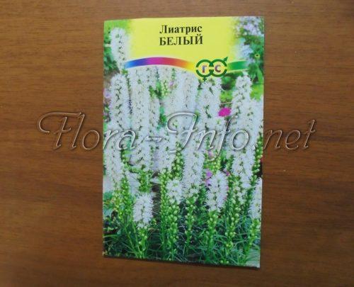Как посадить лиатрис осенью. Семенной способ 14 Как посадить лиатрис осенью. Семенной способ 14