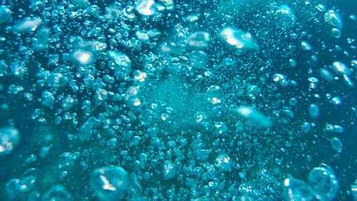 Значение растений для человека. Каково значение растений в природе и жизни человека? 7 причин, почему растения важны