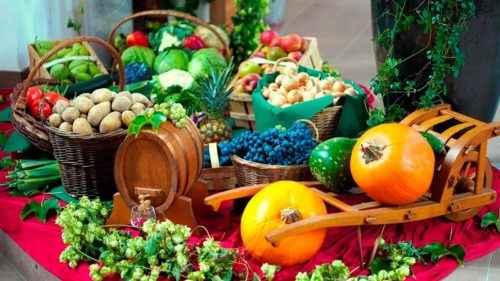 Значение растений для человека. Каково значение растений в природе и жизни человека? 7 причин, почему растения важны