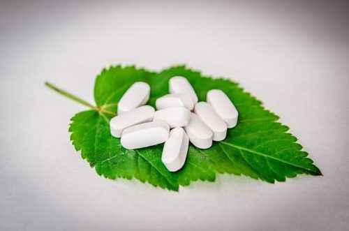 Значение растений для человека. Каково значение растений в природе и жизни человека? 7 причин, почему растения важны