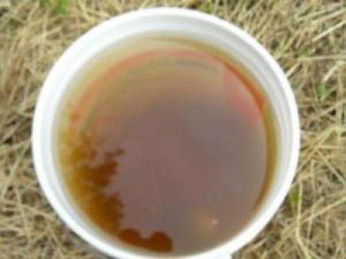 Конский навоз для роз. Применение навоза для роз