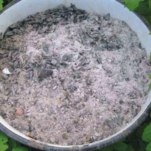 Конский навоз для роз осенью. Органические удобрения