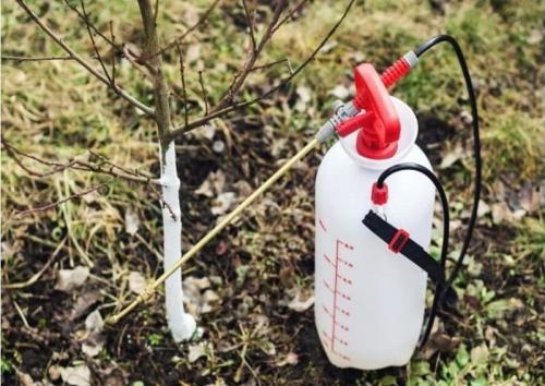 Мочевина удобрение. Мочевина (карбамид): удобрение, применение на огороде и саду