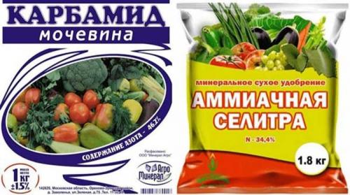 Мочевина удобрение. Мочевина (карбамид): удобрение, применение на огороде и саду