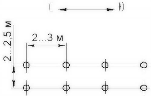 Виноград на даче. Секреты выращивания винограда на дачном участке