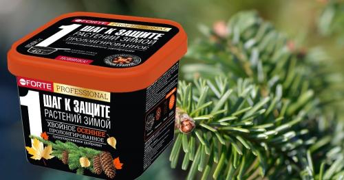 Подготовка хвойных деревьев к зиме: советы и рекомендации 01