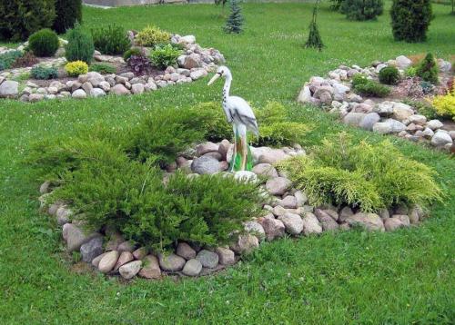 Как правильно укрыть можжевельник на зиму в Сибири 07 Как правильно укрыть можжевельник на зиму в Сибири 07