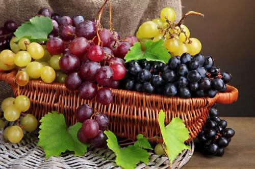 Описание сортов винограда. Лучшие сорта винограда: фото, названия и описания (каталог)